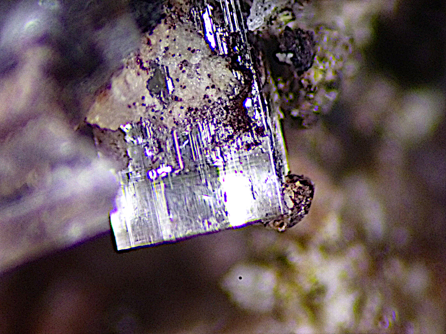 Caracolite
