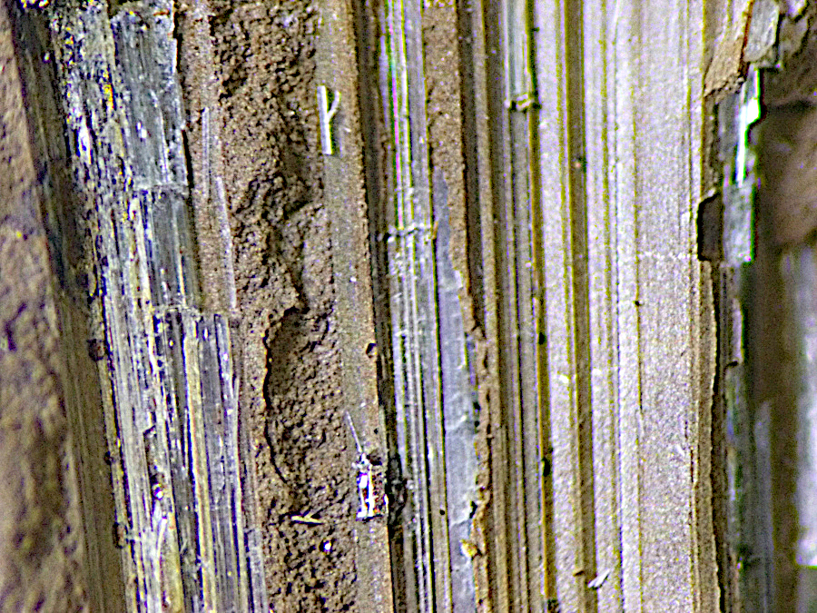 Caryochroite & Elpidite