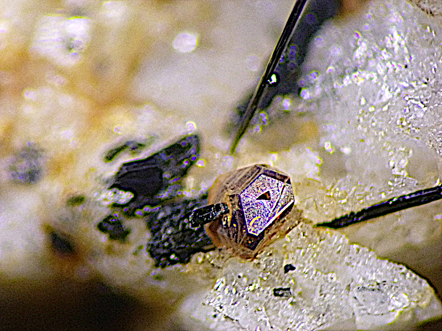 Ferrokentbrooksite & Aenigmatite