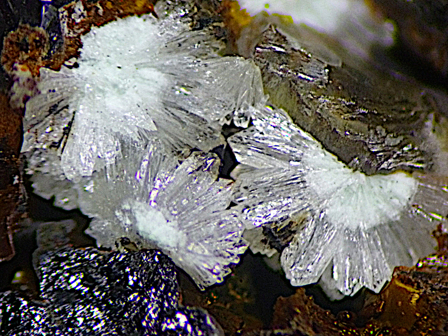 Carlhintzeite