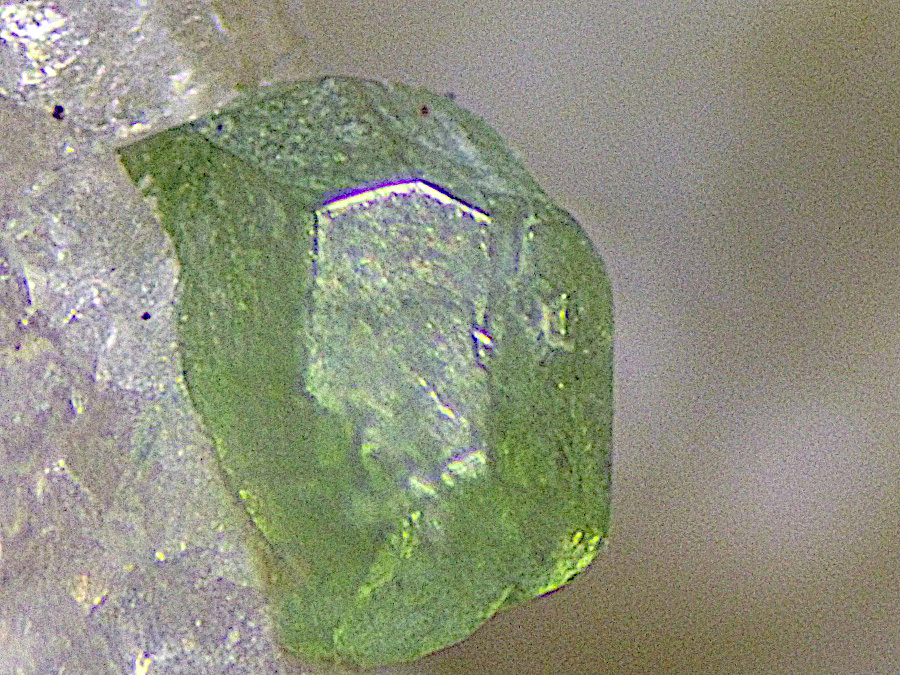 Ekanite