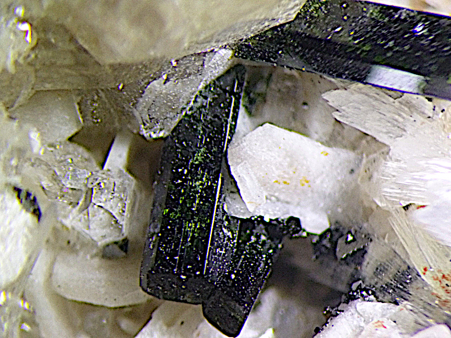 Magnesio-hornblende