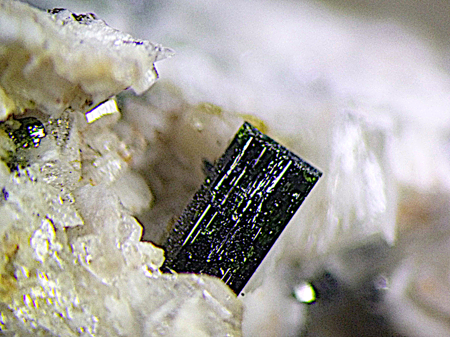 Magnesio-hornblende