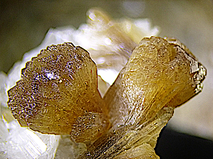 Stellerite