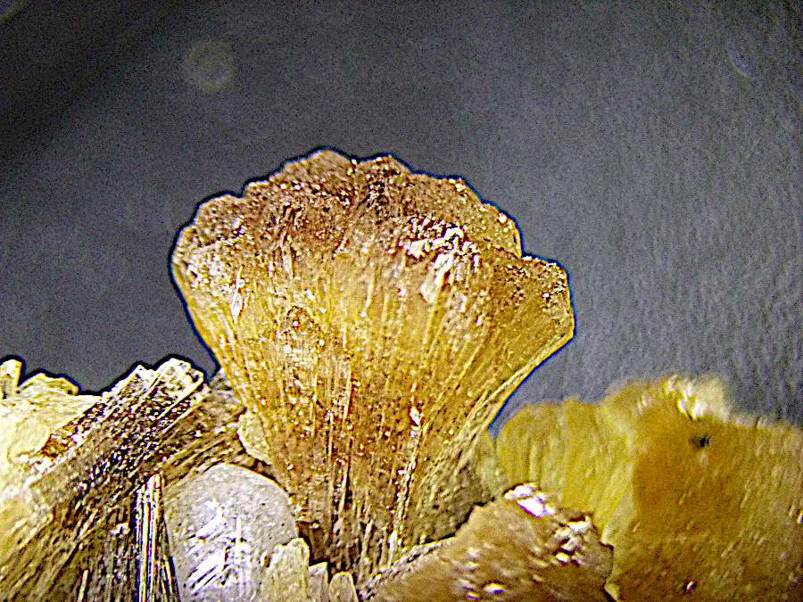 Stellerite