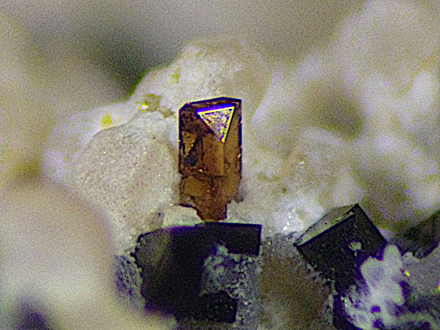Perovskite