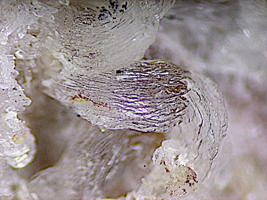 Riotintoite & Vendidaite