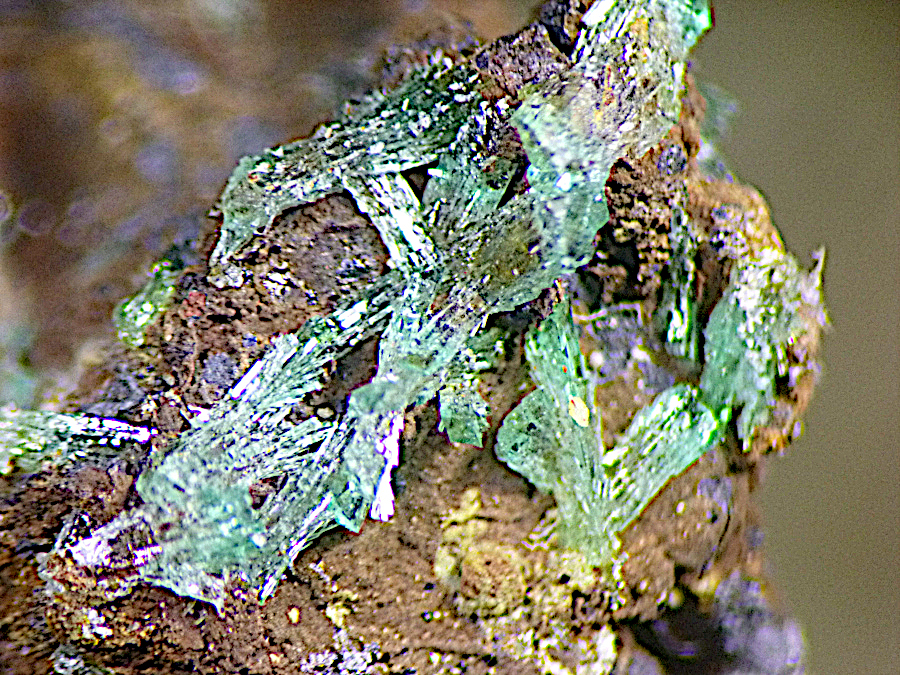 Zincolivenite
