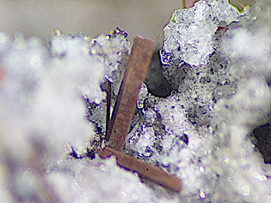 Magnesio-ferri-fluoro-hornblende