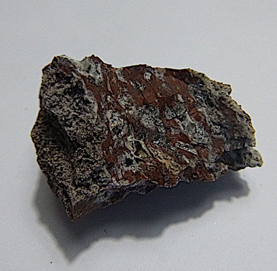 Magnesio-ferri-fluoro-hornblende