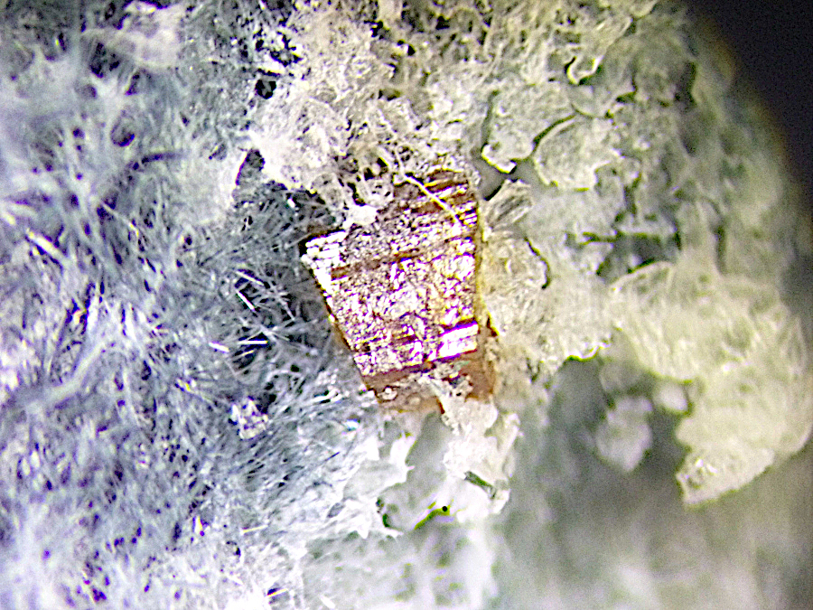 Joaquinite-(Ce) & Neptunite