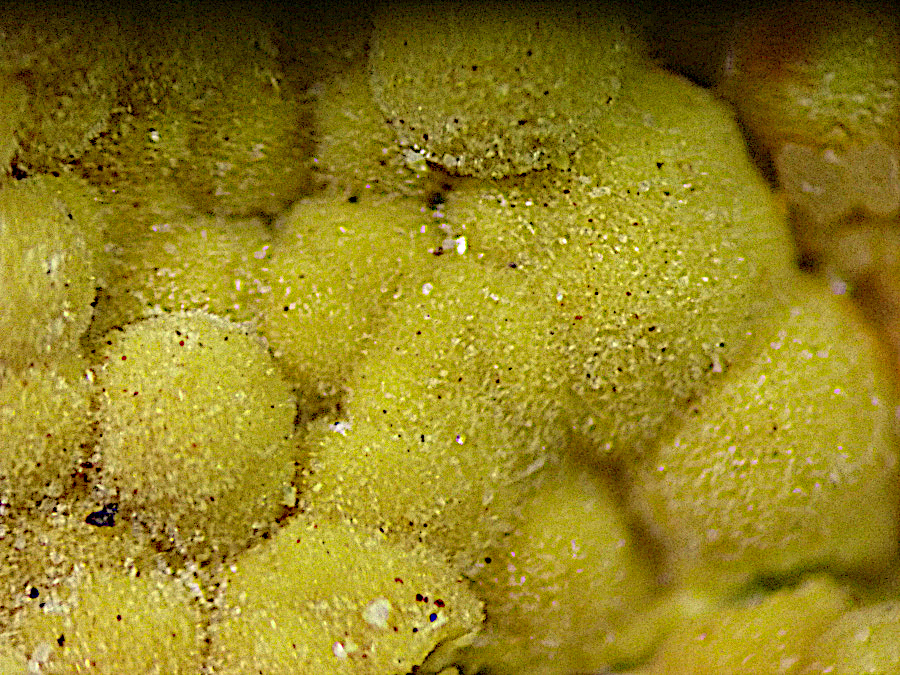 Meurigite-K & Strengite