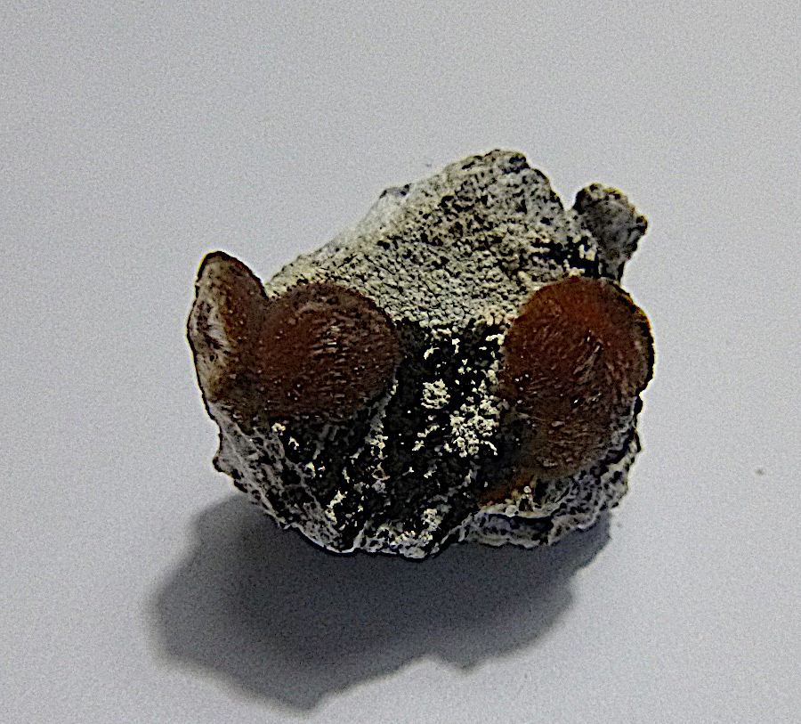 Ferrierite-Mg