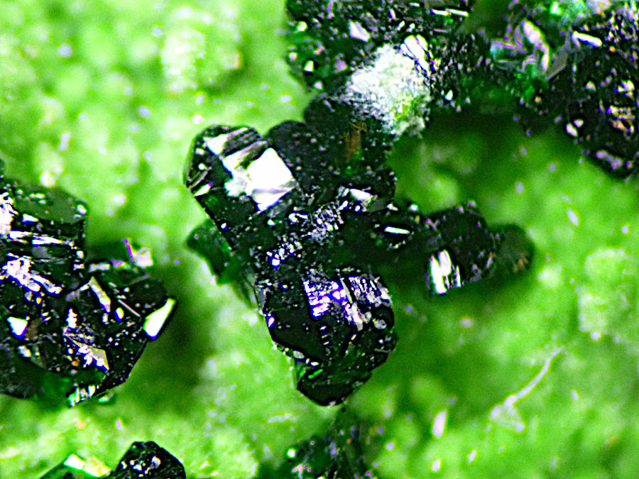 Gillardite