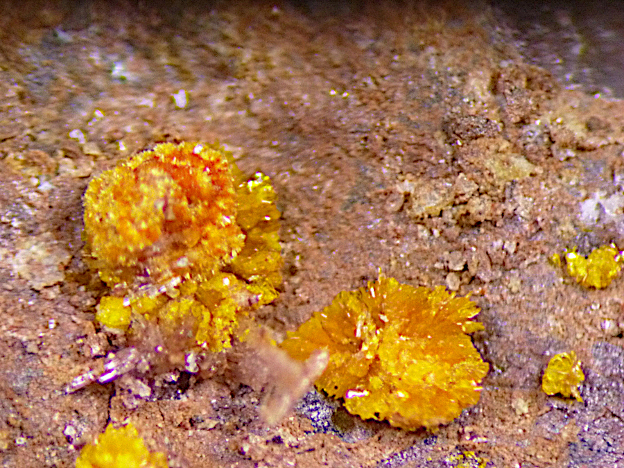 Marécottite & Plavnoite