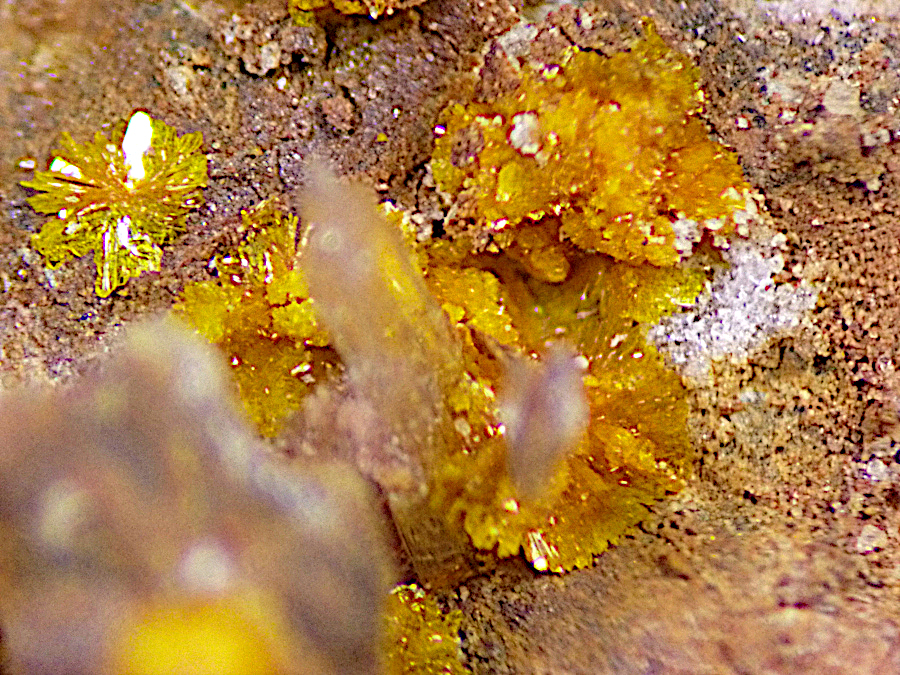 Marécottite & Plavnoite