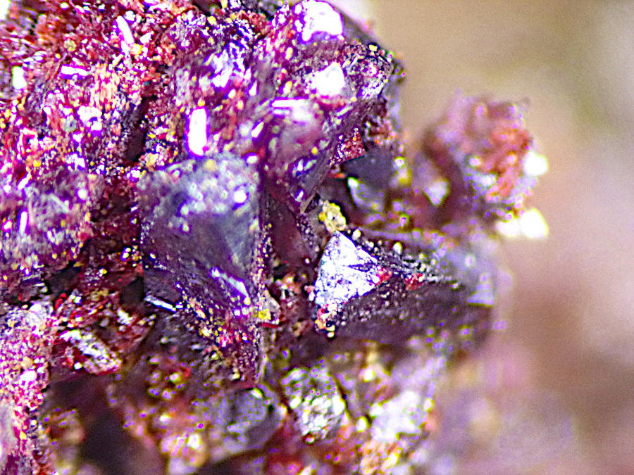 Sewardite & Carminite