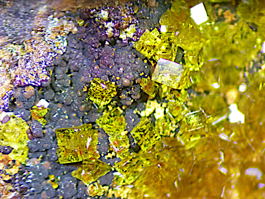 Pharmacosiderite & Scorodite