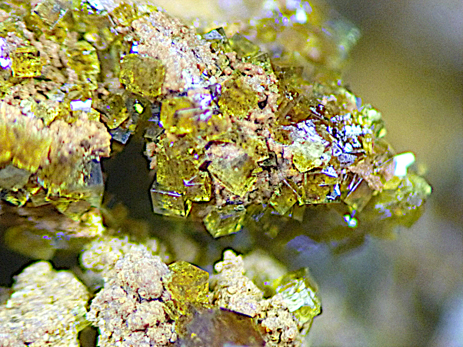 Pharmacosiderite & Scorodite