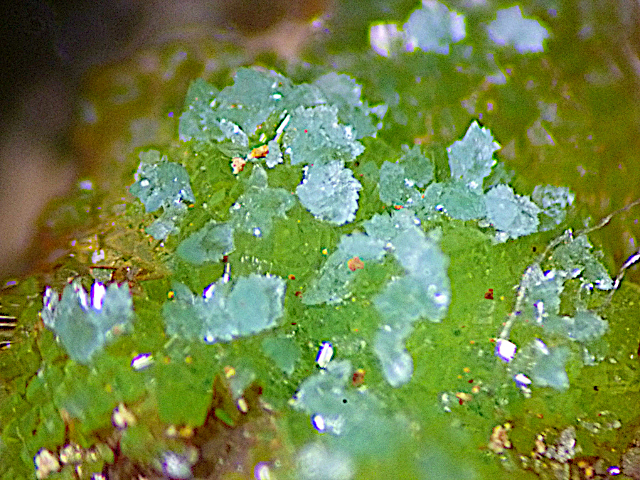 Variscite & Chalcosiderite