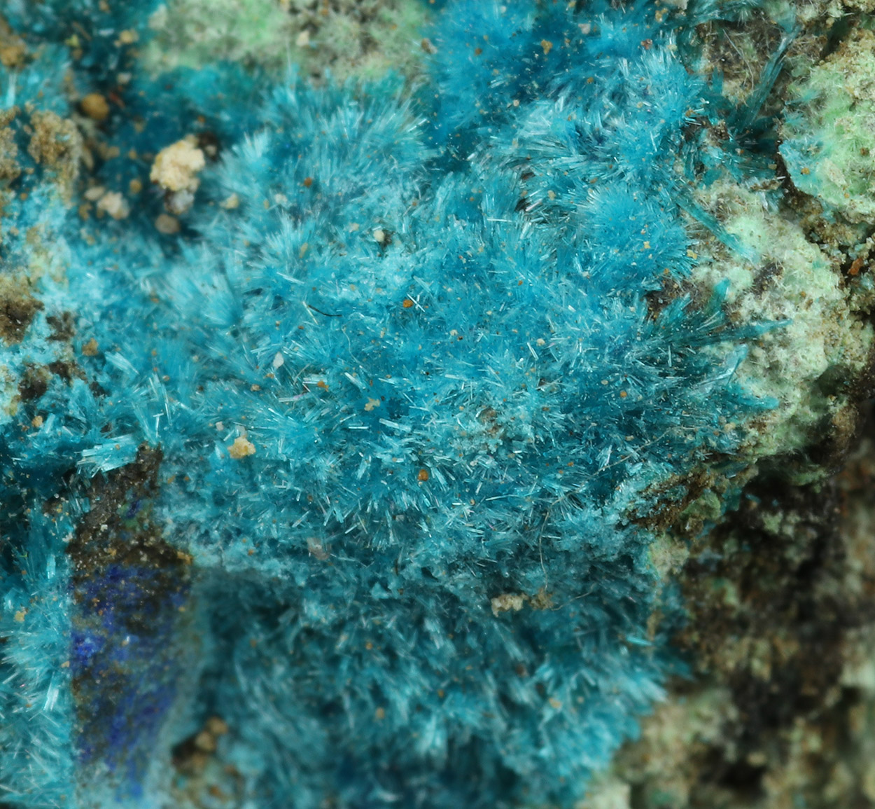 Serpierite Zálesíite Zincowoodwardite Azurite & Zincolivenite