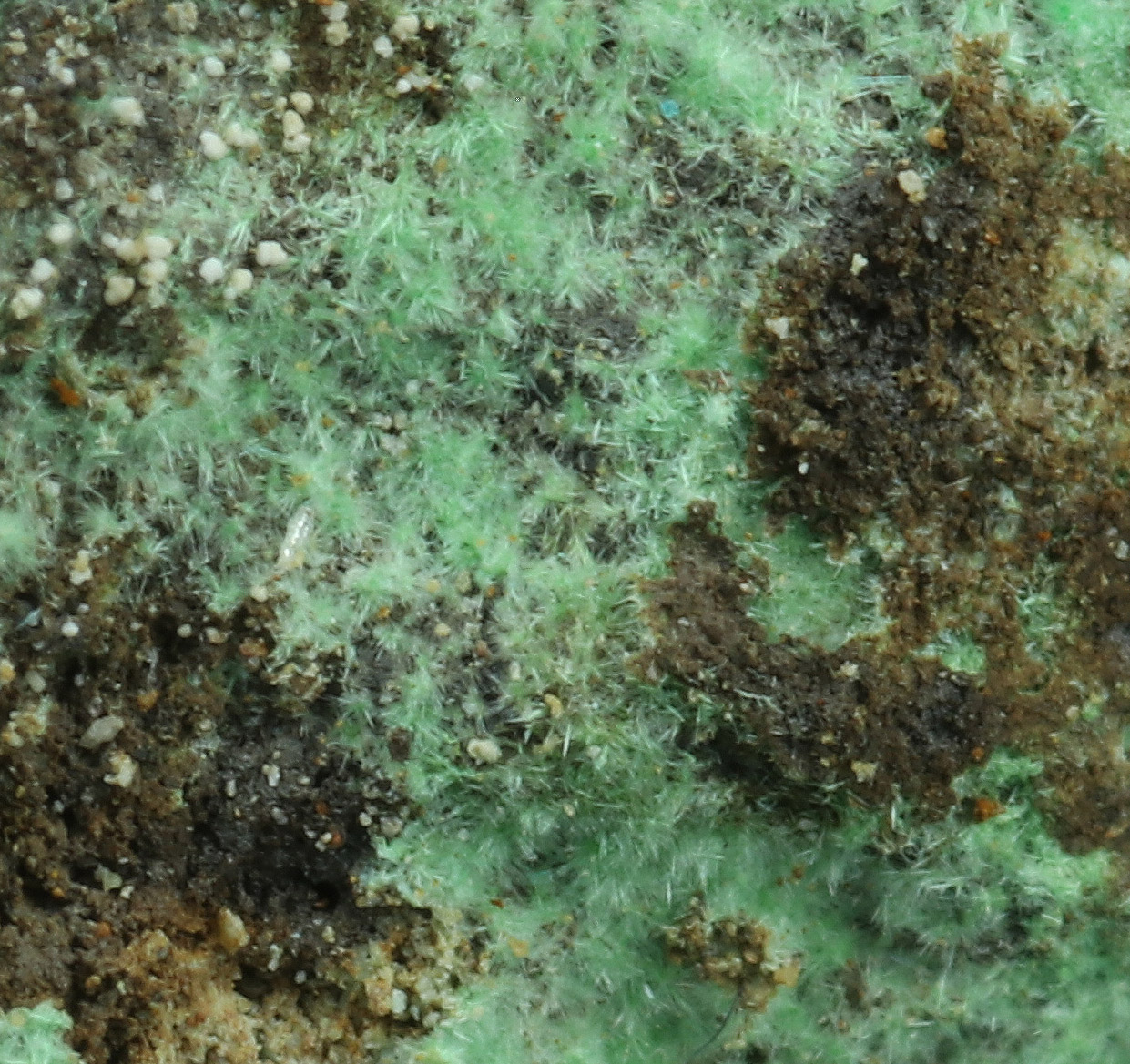 Serpierite Zálesíite Zincowoodwardite Azurite & Zincolivenite