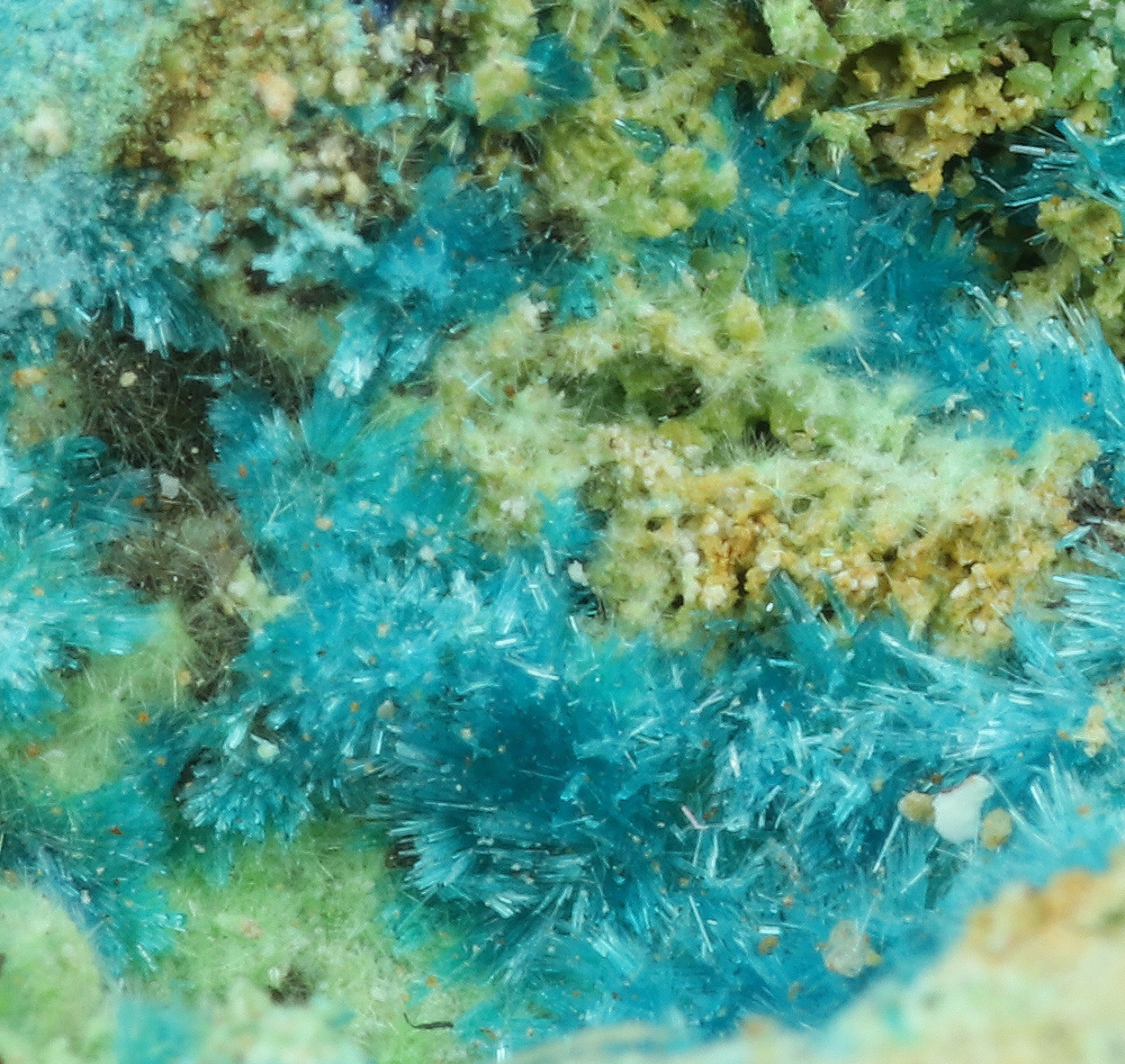 Serpierite Zálesíite Zincowoodwardite Azurite & Zincolivenite