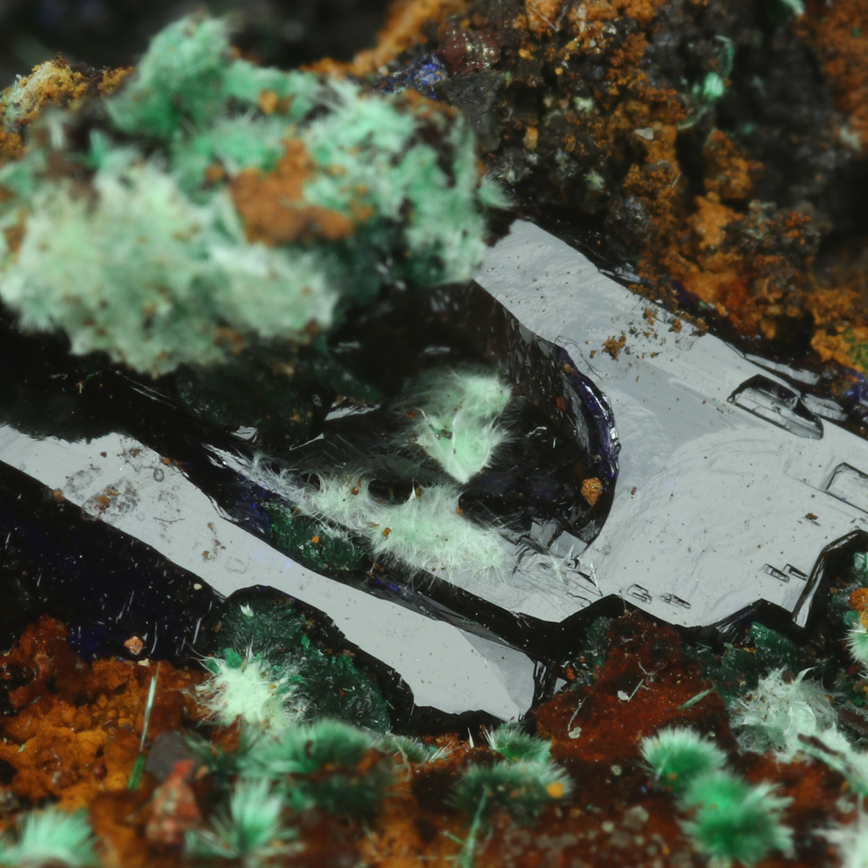 Azurite Agardite & Brochantite