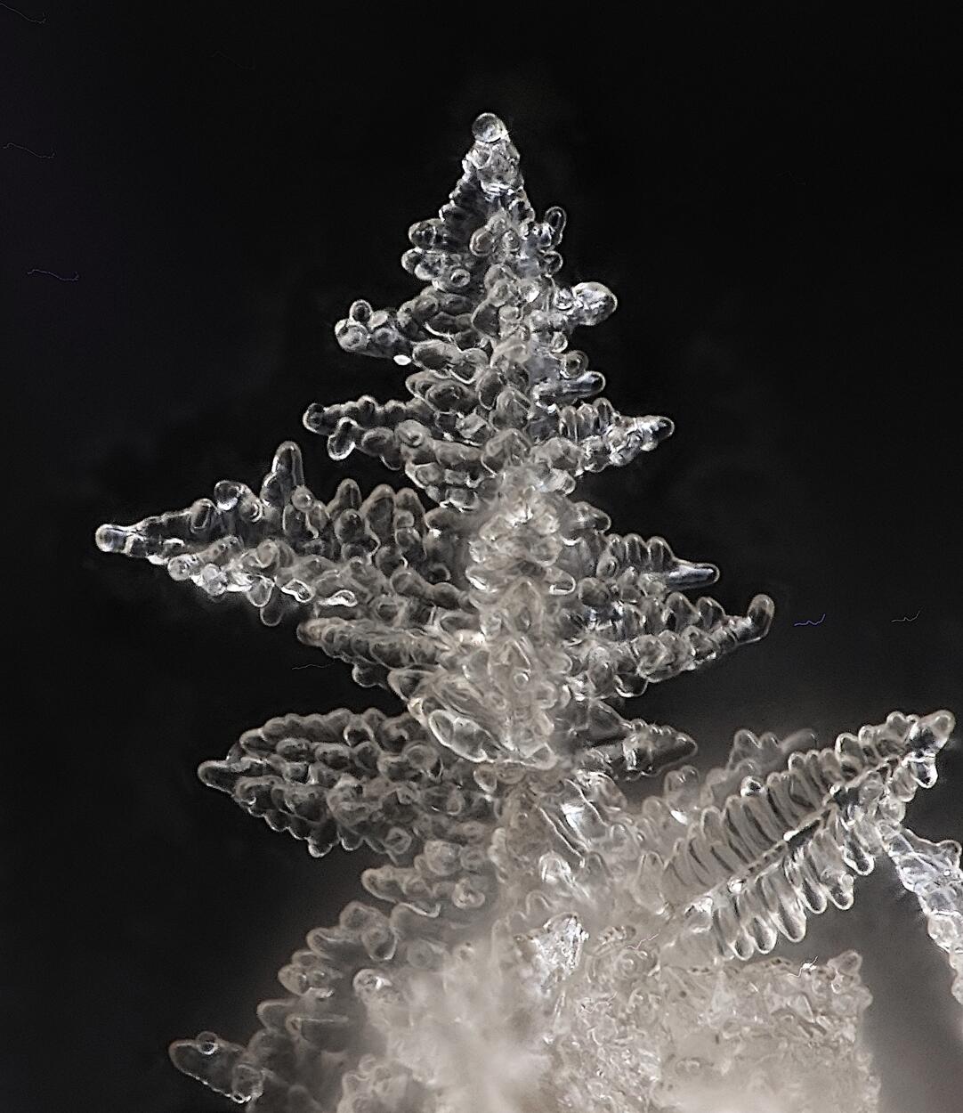 Fluorite Magnetite Nosean & Pyroxene Group