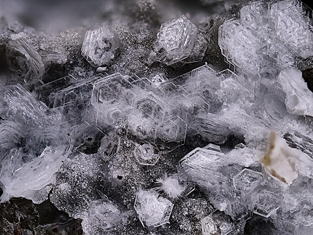 Vertumnite & Ettringite