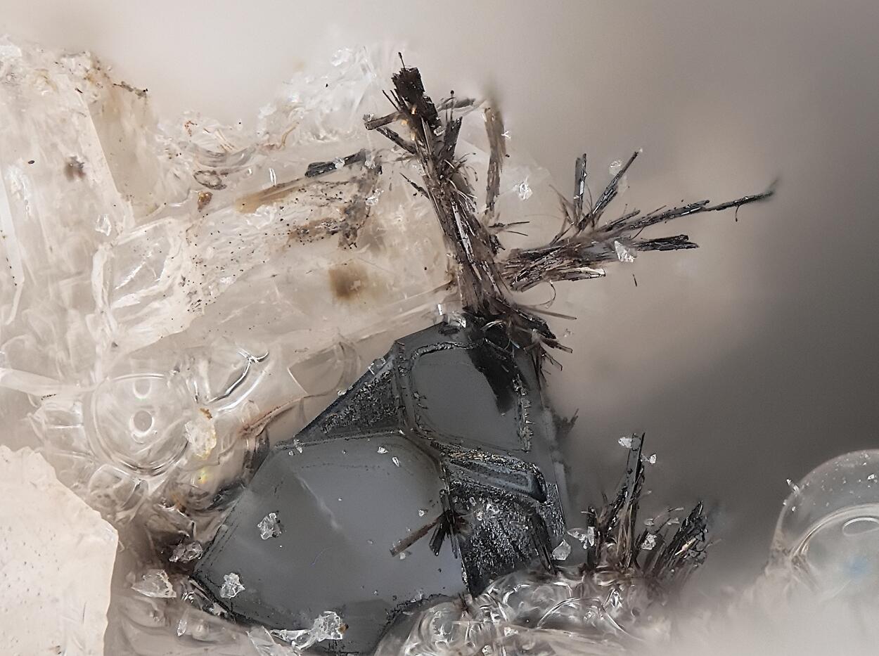 Nioboixiolite-(Fe3+) & Magnetite