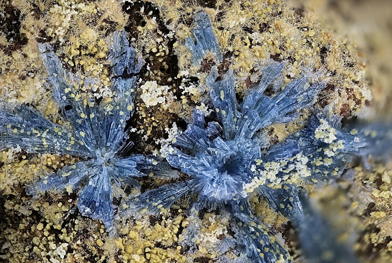 Nickenichite & Vanadinite