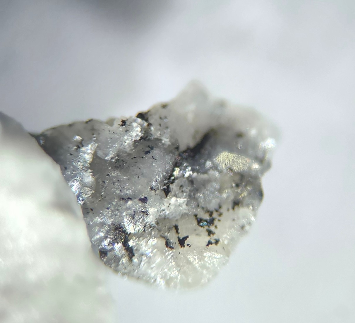 Mgriite Clausthalite Umangite & Eucairite