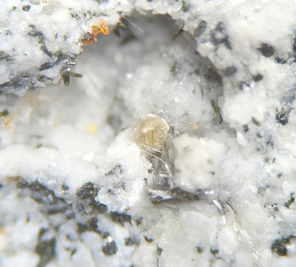 Lourenswalsite Delindeite Labuntsovite-Mn