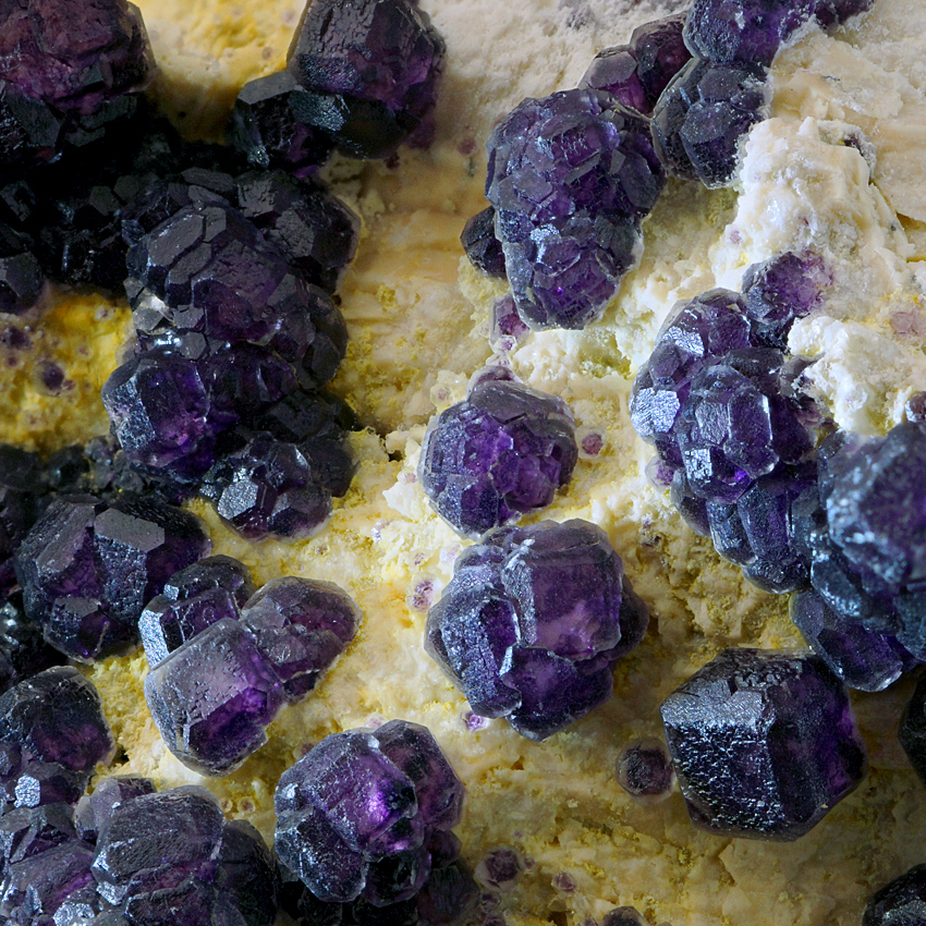 Fluorite On Microcline