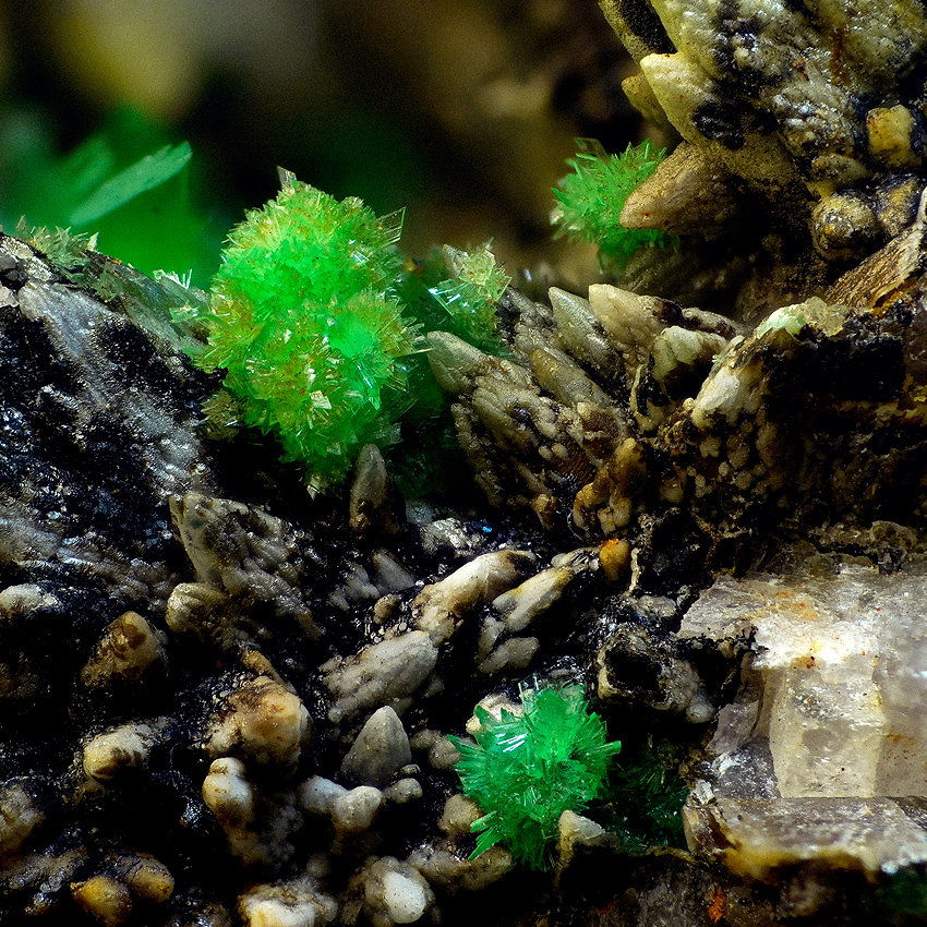 Annabergite & Calcite