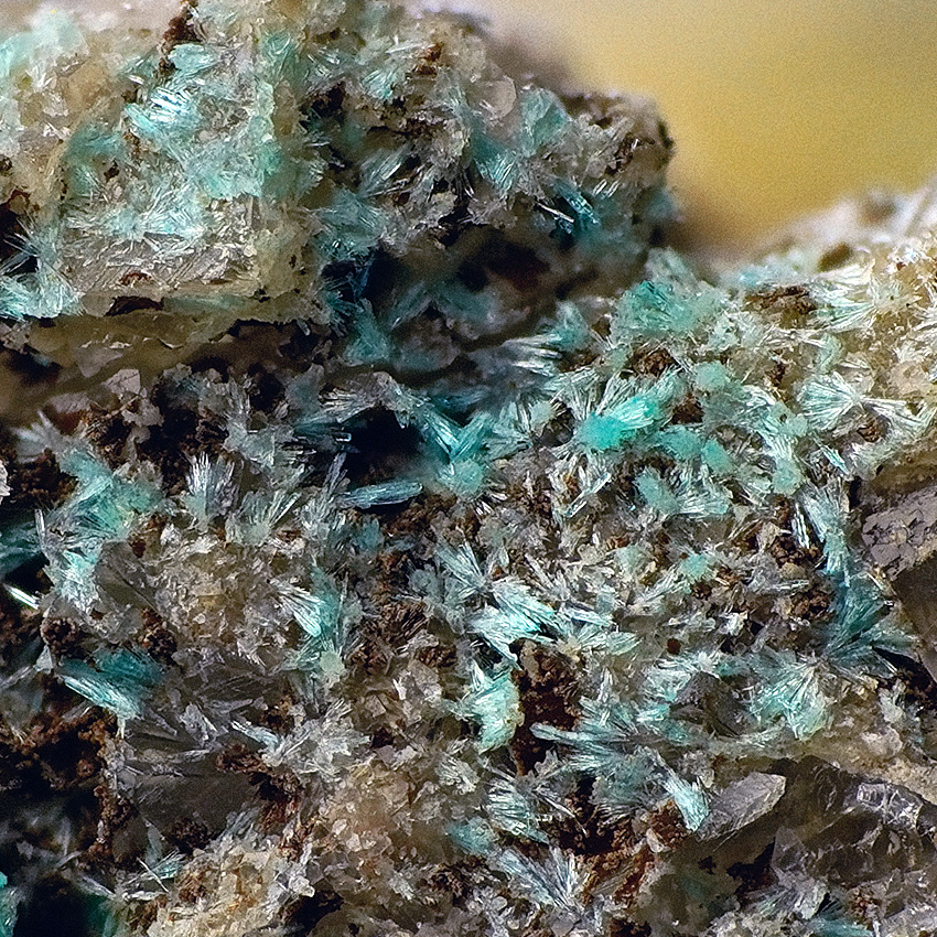 Cavansite & Heulandite