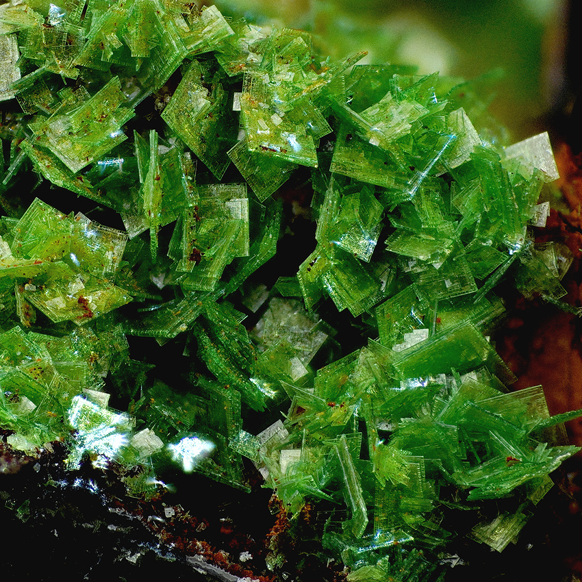 Zeunerite On Fluorite
