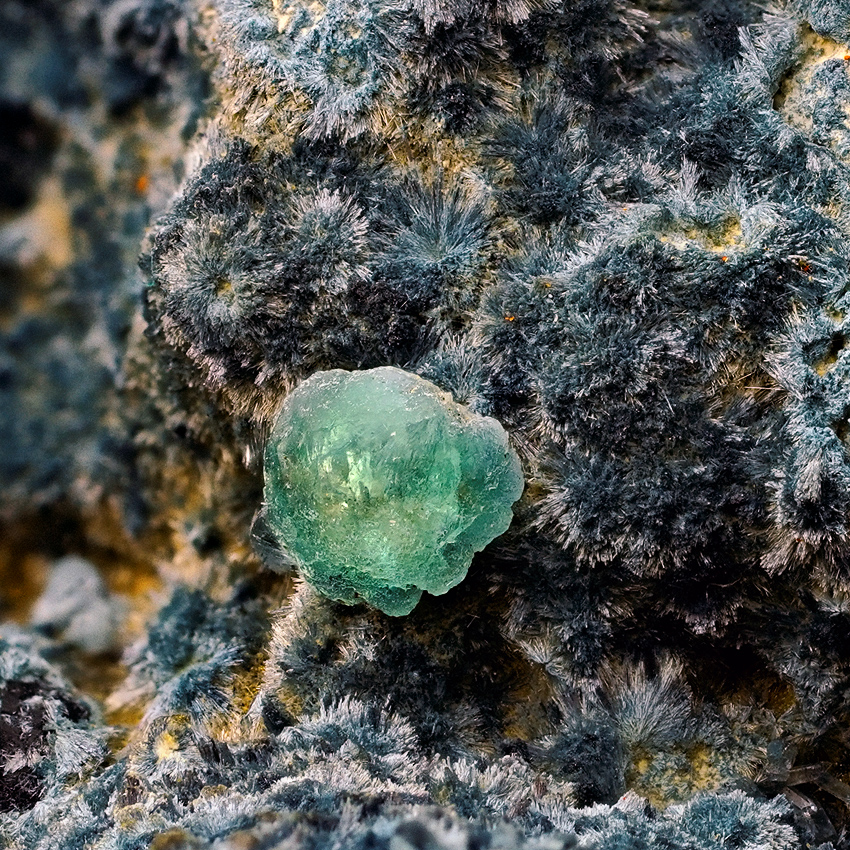 Fluorite On Elbaite