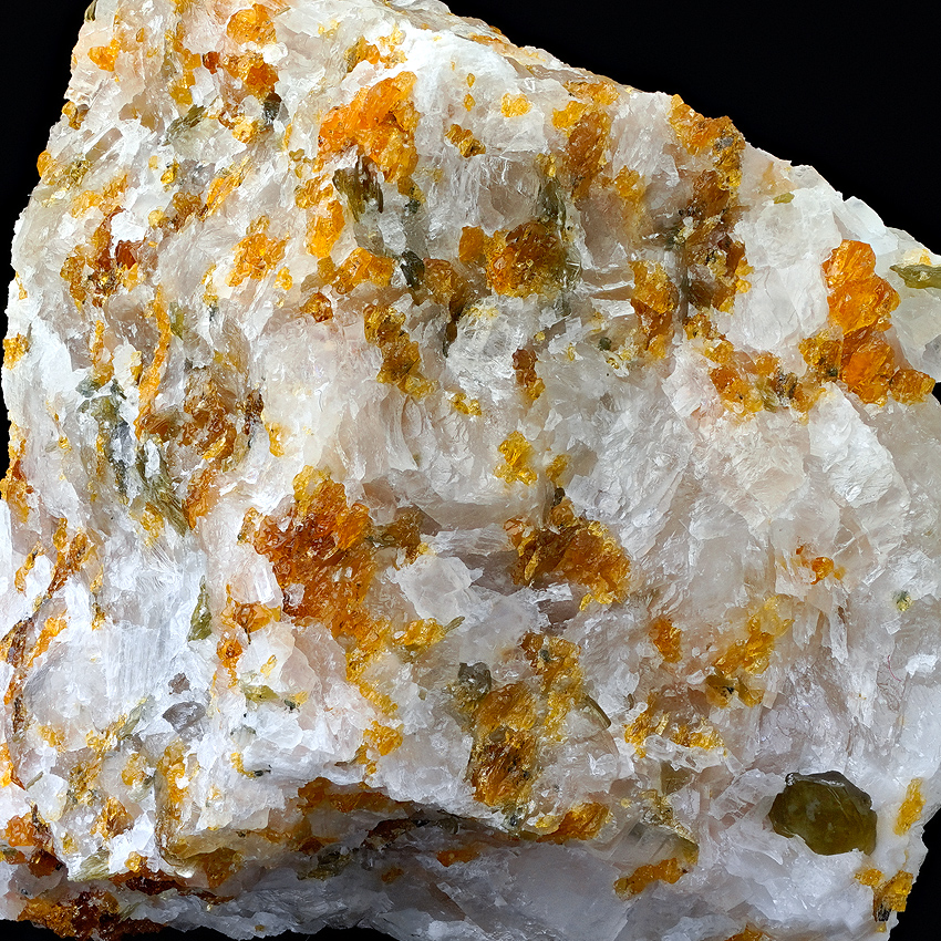 Chondrodite & Phlogopite