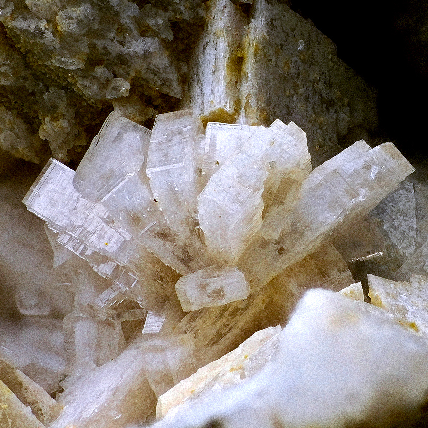 Bertrandite & Adularia