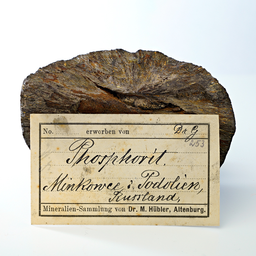 Hydroxylapatite Var Phosphorite