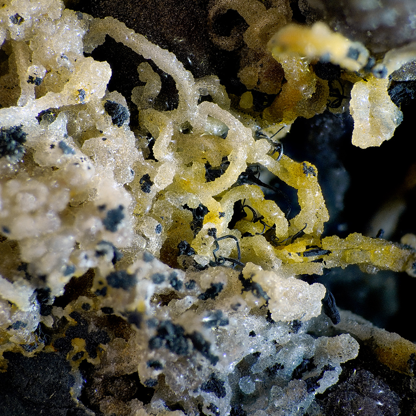 Native Silver & Chalcedony Psm Wire Silver