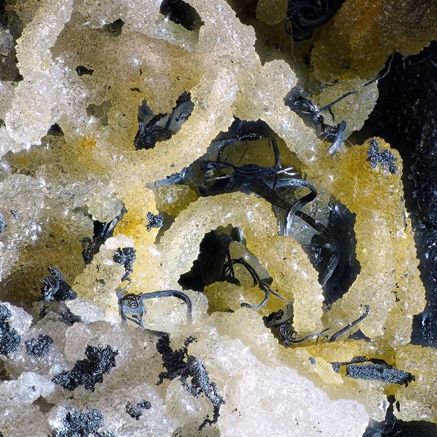 Native Silver & Chalcedony Psm Wire Silver