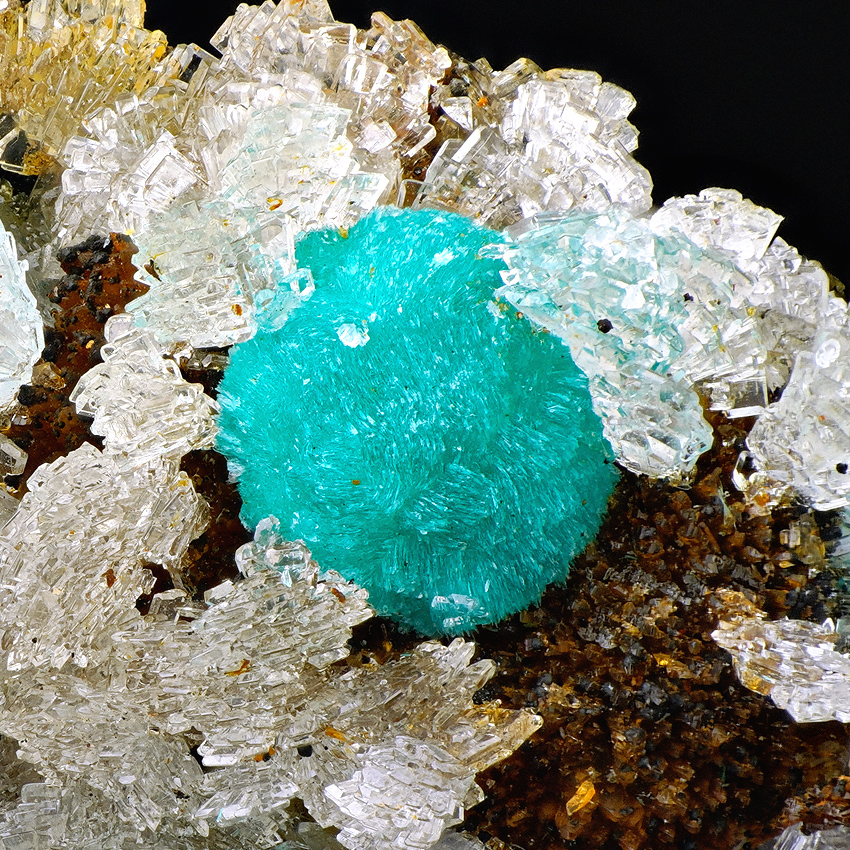 Rosasite & Hemimorphite On Limonite
