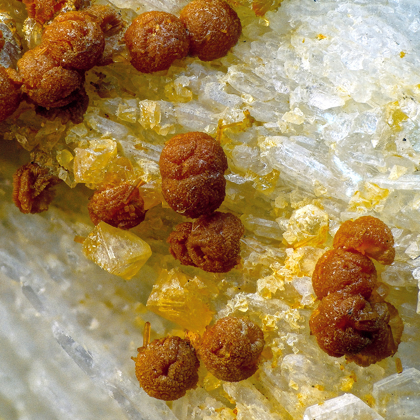 Zanazziite Kosnarite & Eosphorite On Albite