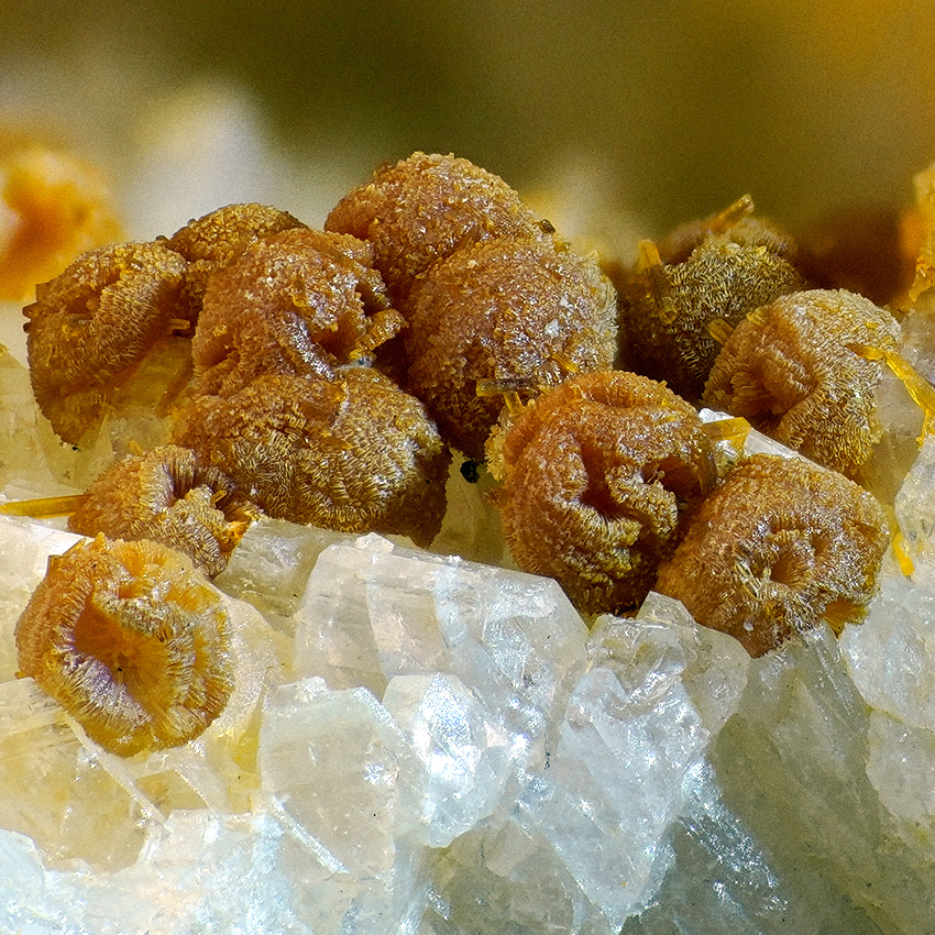 Zanazziite Kosnarite & Eosphorite On Albite