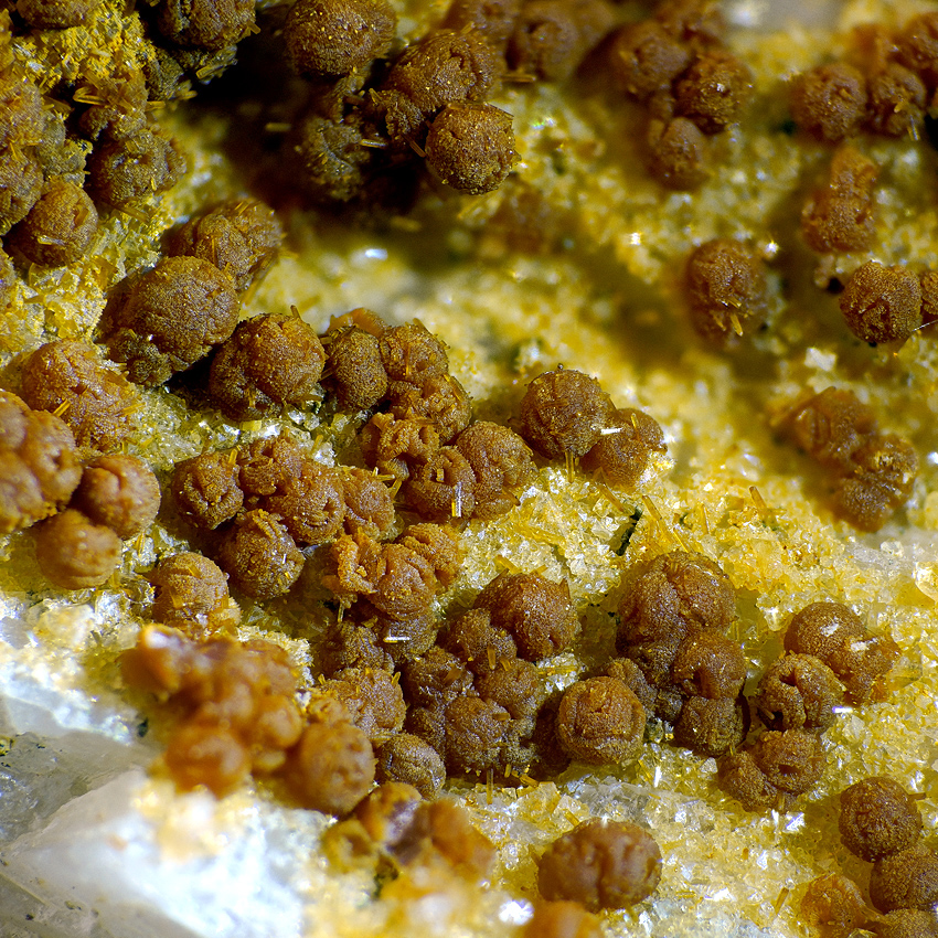 Zanazziite Kosnarite & Eosphorite On Albite