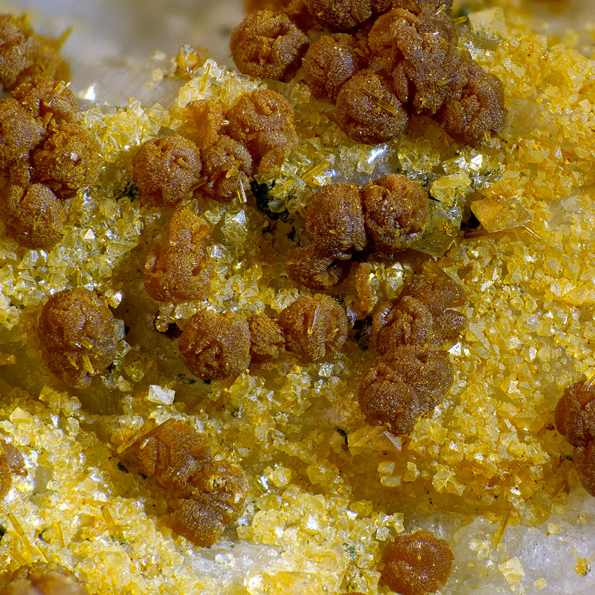 Zanazziite Kosnarite & Eosphorite On Albite