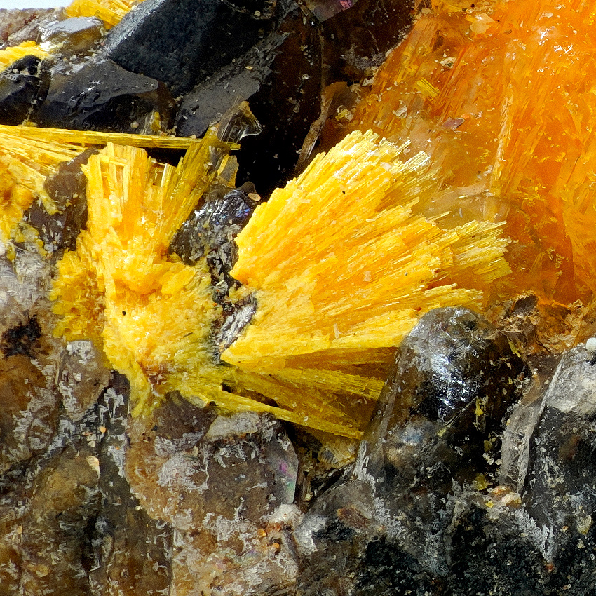 Boltwoodite & Hyalite